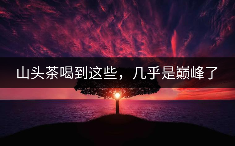 山頭茶喝到這些，幾乎是巔峰了