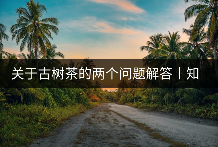 關于古樹茶的兩個問題解答丨知識 關于古樹茶的兩個問題解答丨知識