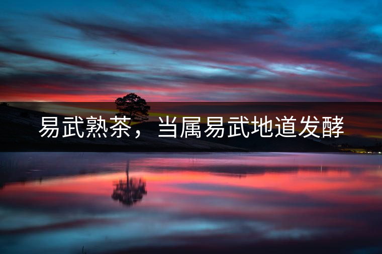 易武熟茶，當(dāng)屬易武地道發(fā)酵