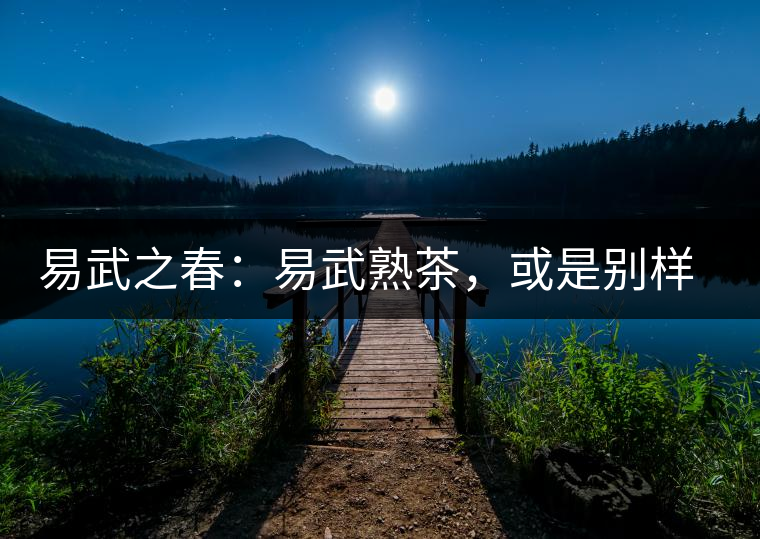 易武之春：易武熟茶，或是別樣風(fēng)采丨賞鑒