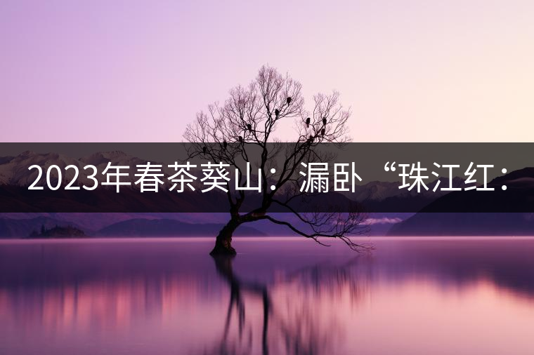2023年春茶葵山：漏臥“珠江紅：1200元-3200元（有3個(gè)檔次）漏臥“大廠茶”：古樹單株8600-9000元／公斤，中樹4800-5200元／公斤，小樹混采2600-2800元／公斤。