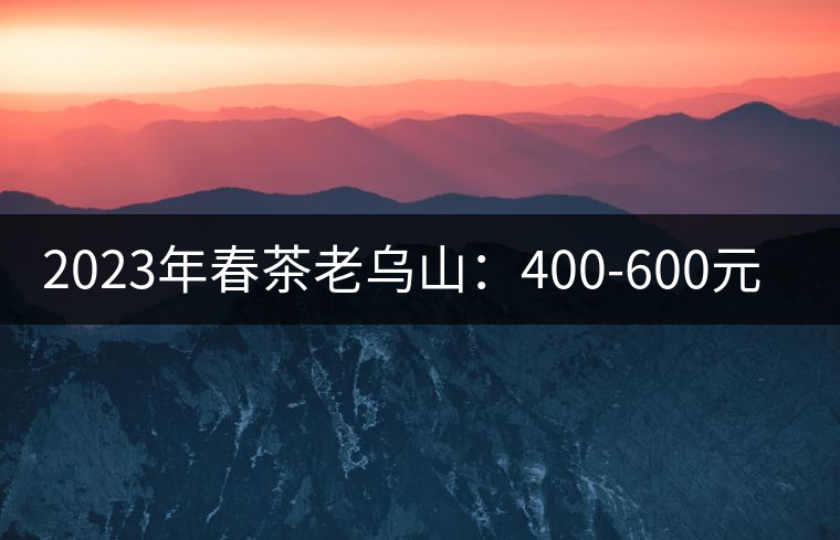 2023年春茶老烏山：400-600元／公斤