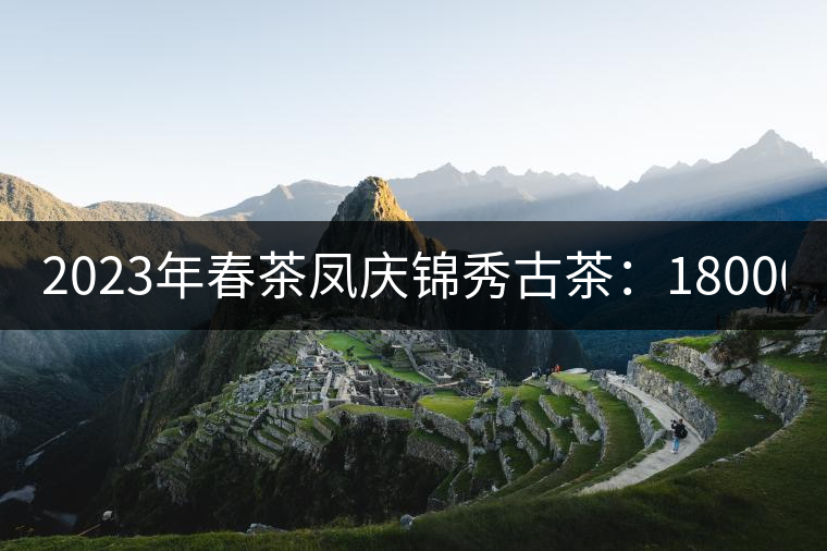 2023年春茶鳳慶錦秀古茶:18000-20000元/公斤 2023年春茶鳳慶錦秀古茶:18000-20000元/公斤