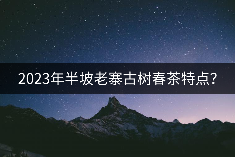 2023年半坡老寨古樹(shù)春茶特點(diǎn)？