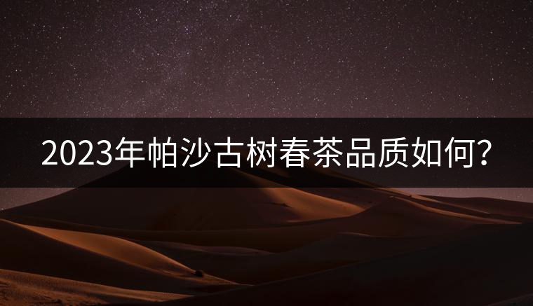 2023年帕沙古樹春茶品質(zhì)如何？