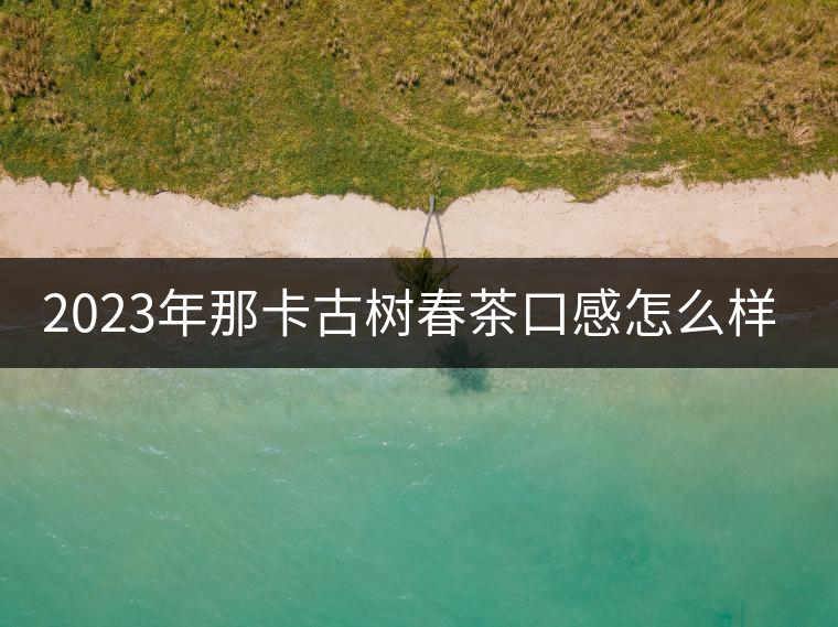 2023年那卡古樹(shù)春茶口感怎么樣？