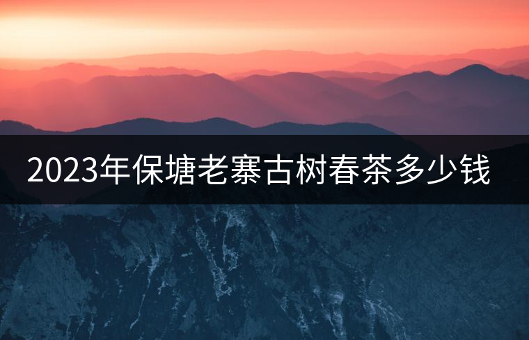 2023年保塘老寨古樹春茶多少錢一公斤？