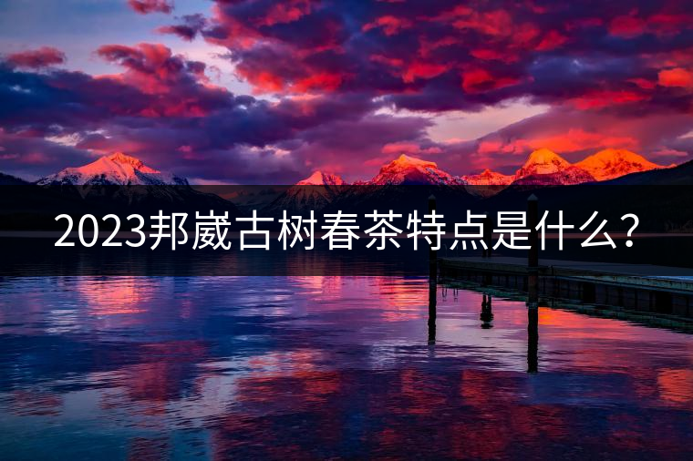 2023邦崴古樹(shù)春茶特點(diǎn)是什么？