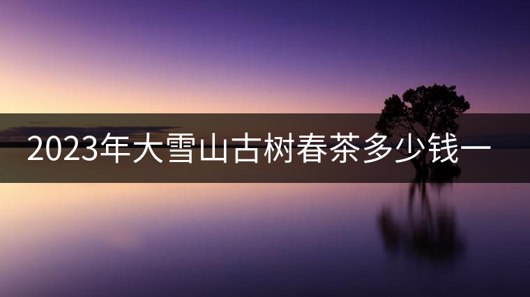 2023年大雪山古樹春茶多少錢一公斤？