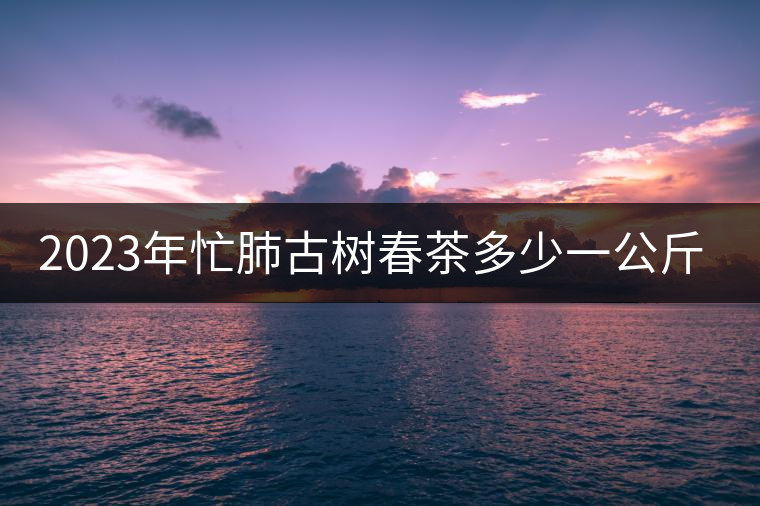 2023年忙肺古樹春茶多少一公斤？