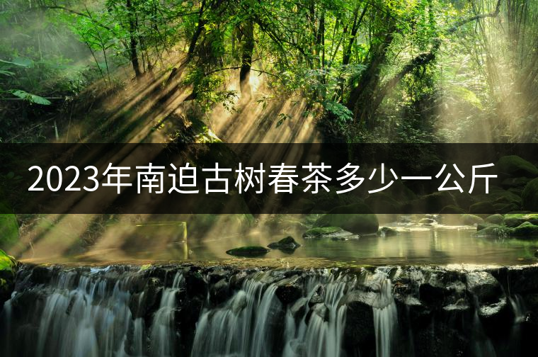 2023年南迫古樹(shù)春茶多少一公斤？