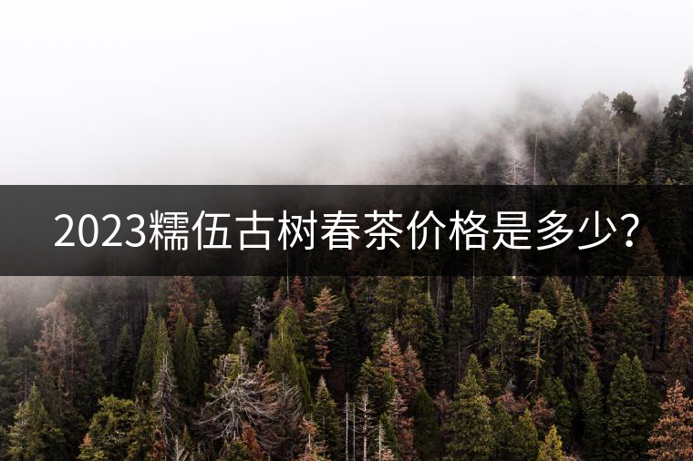 2023糯伍古樹春茶價格是多少？