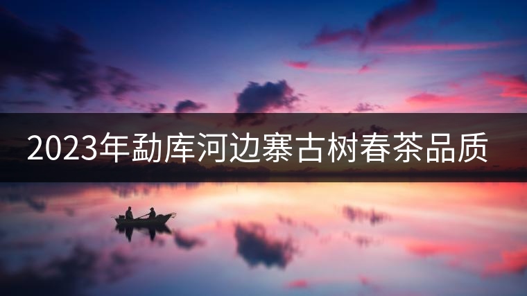 2023年勐庫(kù)河邊寨古樹(shù)春茶品質(zhì)如何？