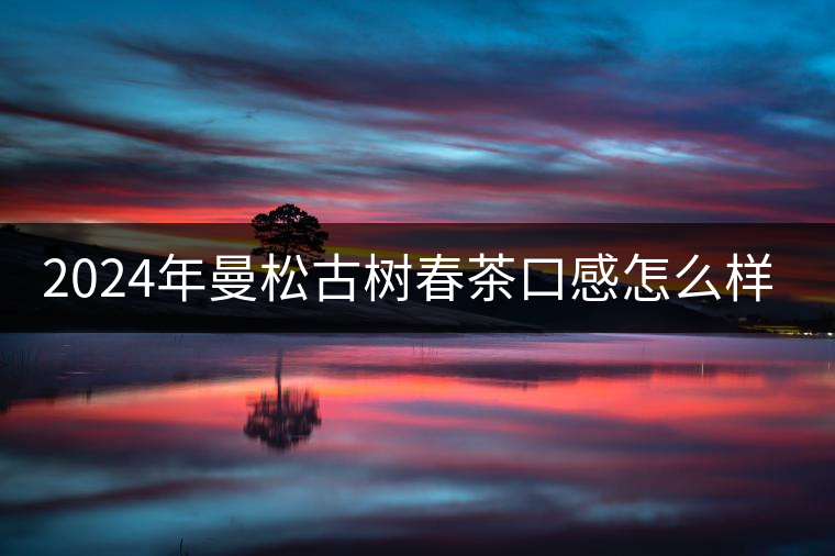 2024年曼松古樹春茶口感怎么樣？