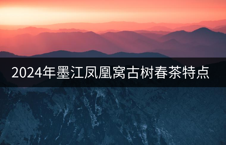 2024年墨江鳳凰窩古樹春茶特點(diǎn)是什么？