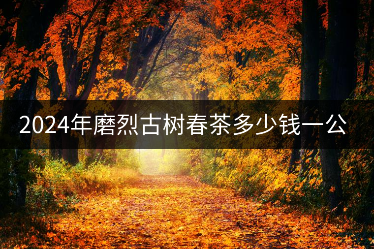 2024年磨烈古樹春茶多少錢一公斤？