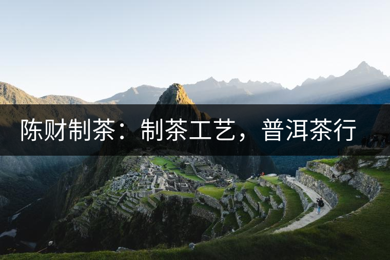 陳財制茶：制茶工藝，普洱茶行業(yè)的生死線