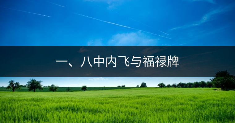 一、八中內(nèi)飛與福祿牌