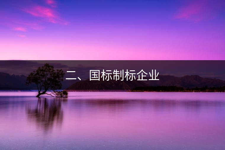 二、國標(biāo)制標(biāo)企業(yè)