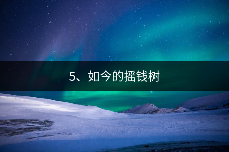 5、如今的搖錢樹