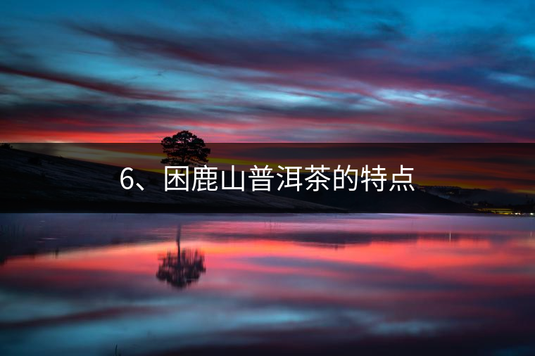 6、困鹿山普洱茶的特點(diǎn)