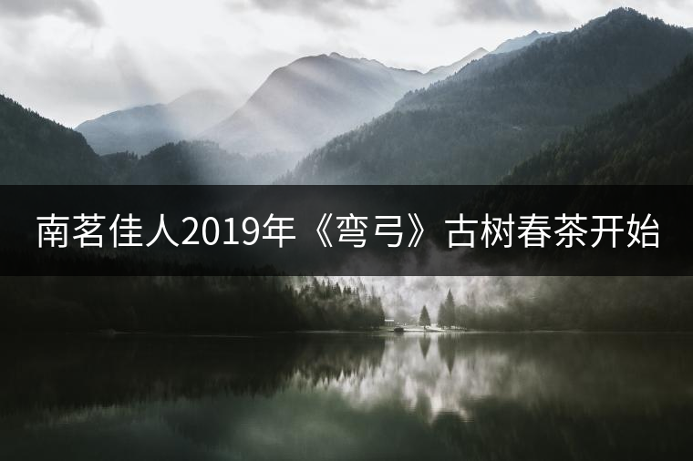南茗佳人2019年《彎弓》古樹春茶開始預售啦！