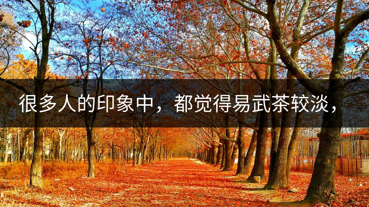 很多人的印象中，都覺得易武茶較淡，但存放幾年后，再喝又覺得茶味茶氣變濃了。我們就這個問題，考察了易武古茶山，和走訪了當?shù)夭柁r(nóng)。我們發(fā)現(xiàn)這跟易武古樹茶的茶質(zhì)和茶農(nóng)制茶的傳統(tǒng)工藝有關(guān)。