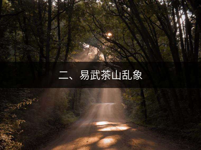 二、易武茶山亂象