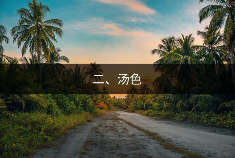 二、湯色