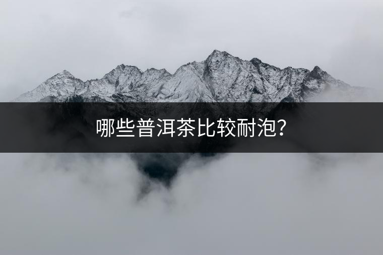 哪些普洱茶比較耐泡？