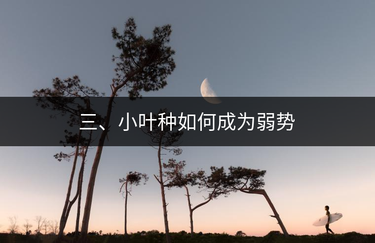 三、小葉種如何成為弱勢(shì)
