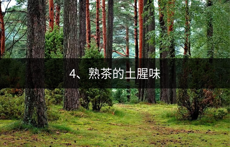 4、熟茶的土腥味