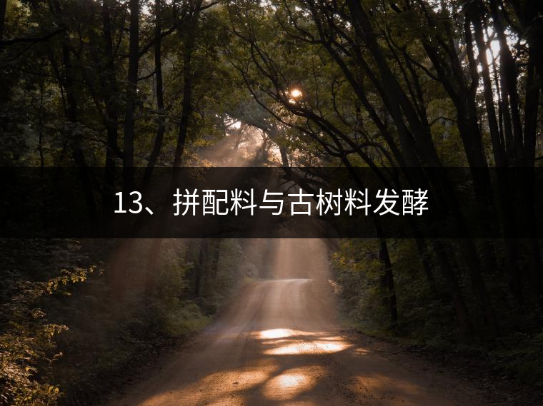 13、拼配料與古樹料發(fā)酵