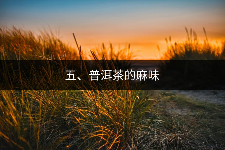 五、普洱茶的麻味