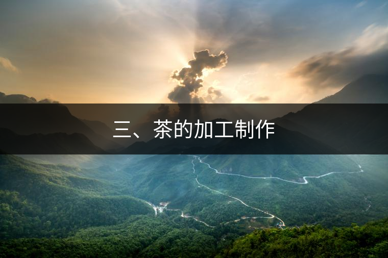 三、茶的加工制作
