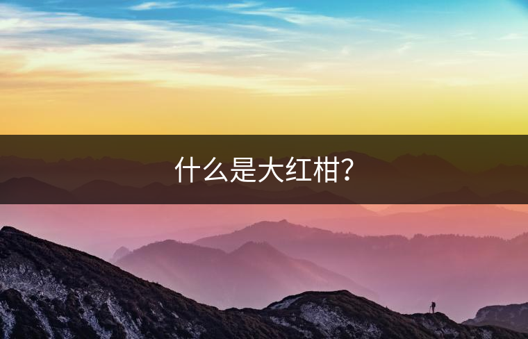 什么是大紅柑？