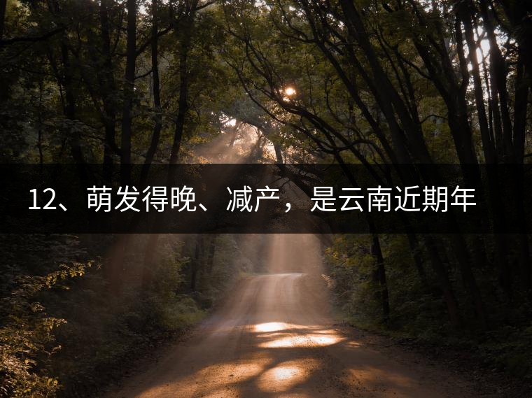 12、萌發(fā)得晚、減產(chǎn)，是云南近期年氣候變化在茶樹上的延遲反映。