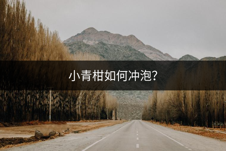 小青柑如何沖泡？