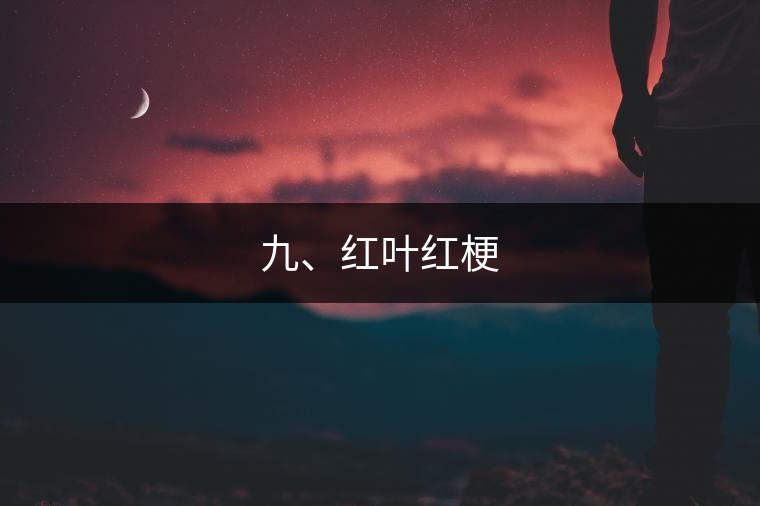 九、紅葉紅梗