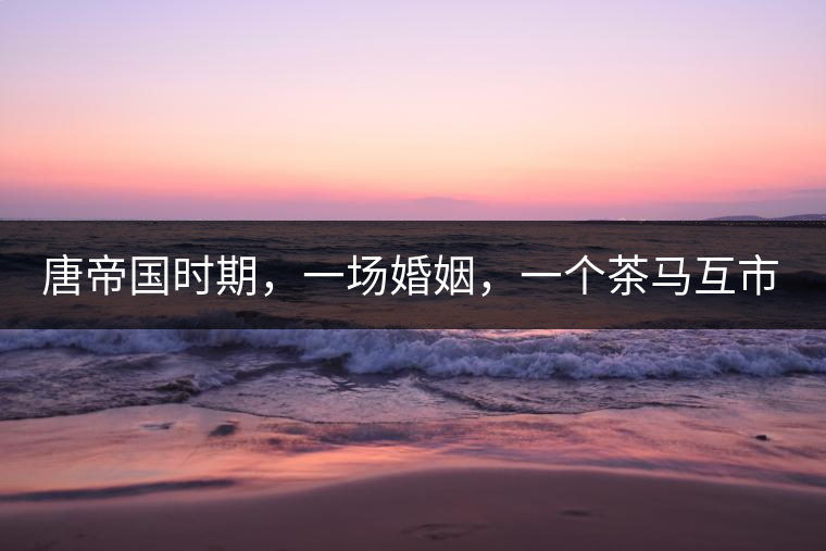 唐帝國時期，一場婚姻，一個茶馬互市，讓這里結(jié)束了漢藏對峙。宋代南茶北，西北茶馬司設(shè)立，因茶而改變的生活日益凸顯。元代八思巴與忽必烈在這一區(qū)域結(jié)盟，為蒙藏兩大民族交往鋪好通衢大道，明代俺答汗與達(dá)賴在山海之間追思各自先人，青海人宗喀巴創(chuàng)建的黃教通過蒙、藏兩大領(lǐng)袖的推廣，締造了影響至今的格局。大清經(jīng)過康、雍、乾三代勵精圖治，滿、藏、蒙各自龐大的疆域第一次完整地統(tǒng)轄在中央帝國的版圖下。