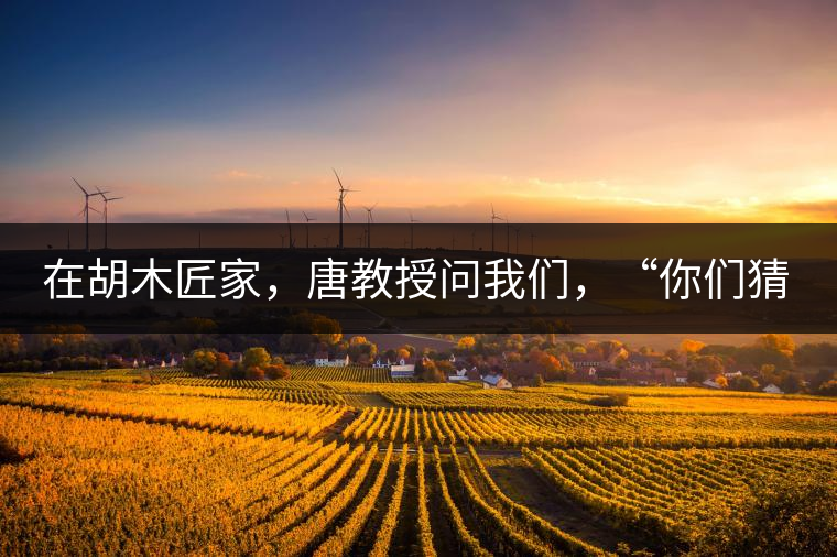 在胡木匠家，唐教授問我們，“你們猜猜他們家的茶放在哪里？”我們回答廚房、客廳都不對，“難道像寺院一樣，有專門的茶房不成？”教授和木匠都哈哈大笑，連連搖頭。在木匠的帶領(lǐng)下，我們來到主人的臥室，茶磚整齊有序地堆放在床頭柜里。一家之主的臥室，既是休息之所，亦是一家財(cái)富與傳家寶的收藏地。茶之精貴，毋需多言。