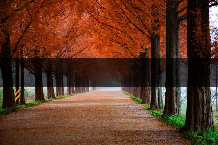 這樣的茶葉邊疆文化，也許是明代大學(xué)者解縉最樂意見到的。他曾說，中原最好的東西就是茶，而番人最好的就是馬。他贊同明廷茶馬互市的國策：茶之于夷人，如同中國之酒醴，因?yàn)椴桉R貿(mào)易，許多夷人也開始學(xué)習(xí)中國的知識，對中國也有了向慕之心，那么茶的作用就很顯然，茶有著“夷夏之交，義利之辨，寅賓尚忠信而篤敬，河州固唐虞三代之邦也?！?茶不僅僅是一種飲品，還有其他。茶作為媒介，體現(xiàn)了觀念的變化。如今，隨著茶的傳播，各族人民有了更深入往來，通過貿(mào)易、文化、旅游等等。
陳渠珍從西藏抵達(dá)湟源區(qū)域時，也為這里的古風(fēng)所震驚：“余皆漢番雜處。風(fēng)俗婦女尚餞足，裙下蓮步不及三寸，服飾既古，文化尤卑，鄰居為私塾，當(dāng)見一生久讀不能成誦，塾師罰之跪，以草圈罩頭上，頻加籌石，令其跪誦。余見駭然?！?
?
（摘自《海峽茶道》，2013年5期）