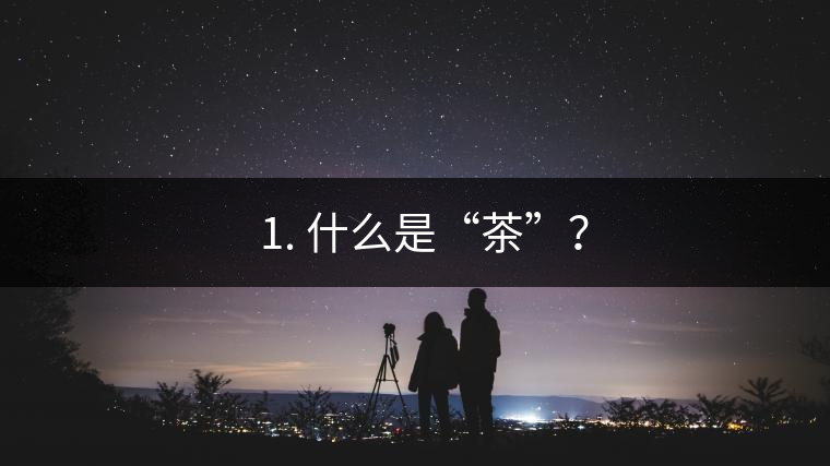 ? 1. 什么是“茶”？