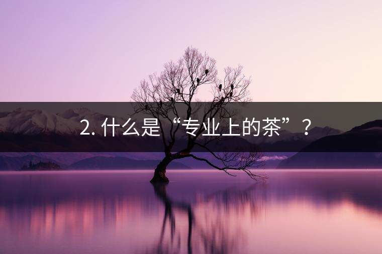 ? 2. 什么是“專業(yè)上的茶”？
