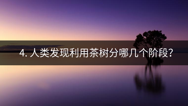 ? 4. 人類發(fā)現(xiàn)利用茶樹分哪幾個(gè)階段？