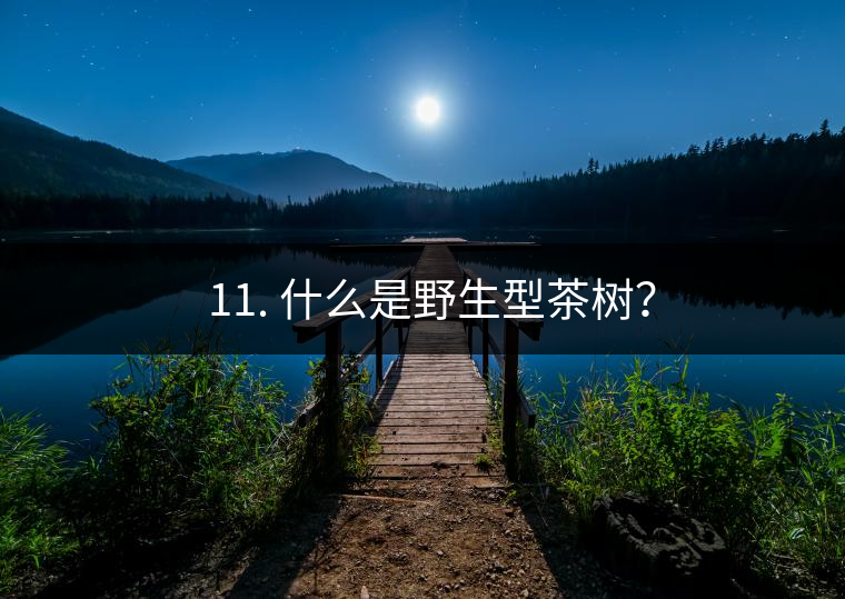 ? 11. 什么是野生型茶樹？