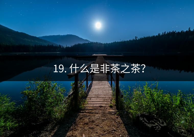? 19. 什么是非茶之茶？