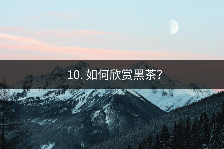 ? 10. 如何欣賞黑茶？