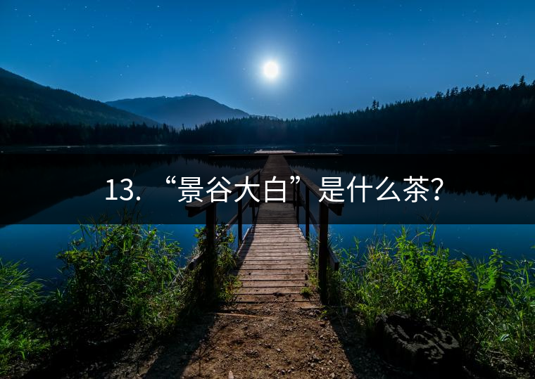 ? 13. “景谷大白”是什么茶？