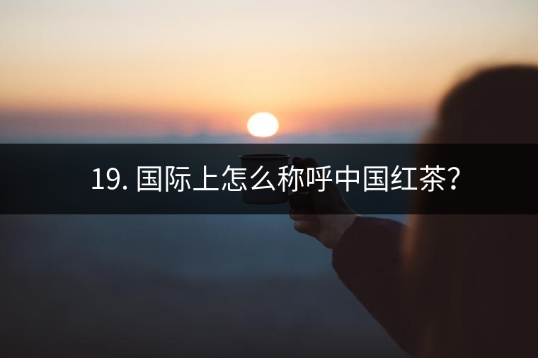? 19. 國際上怎么稱呼中國紅茶？